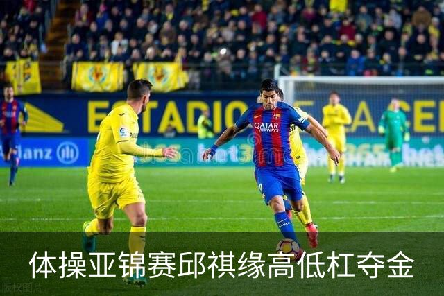 体操亚锦赛邱祺缘高低杠夺金